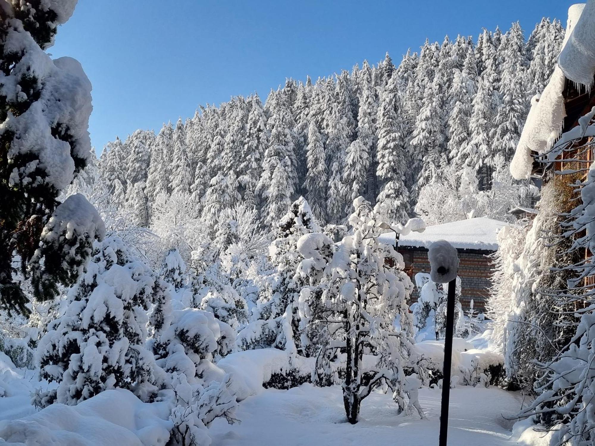 מנאלי Banon Resorts מראה חיצוני תמונה